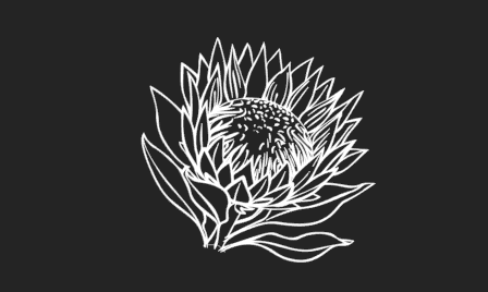 Protea Flower, South Africa - Ladies Shirt