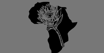 Protea, South African Flower - Ladies Shirt
